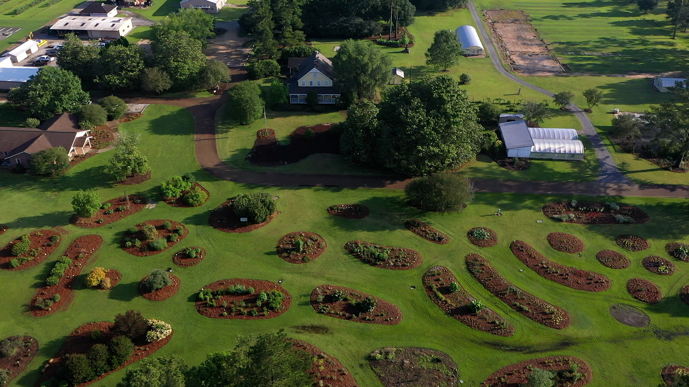 Before plants make it into gardens, this LSU AgCenter station puts them to the test
